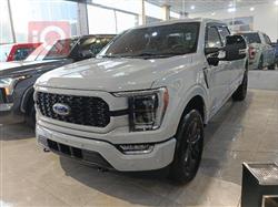 فۆرد F-150